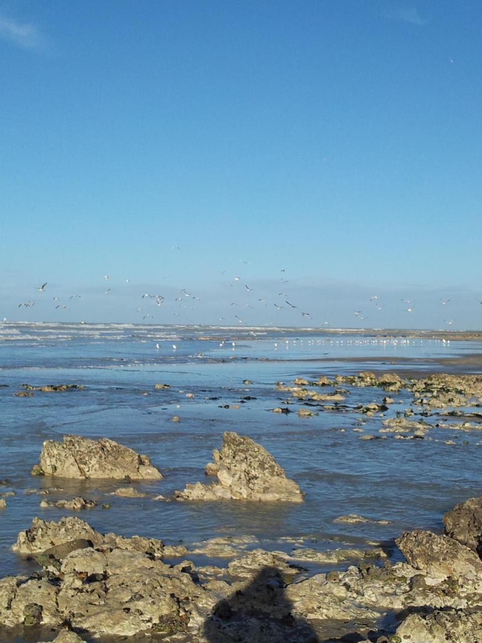 Camping Le Mont Joli Bois Criel-sur-Mer Exterior foto